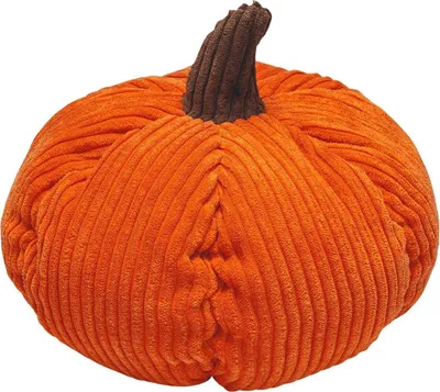 Produktbild von Beeztees Hundespielzeug Kürbis Koba aus Cord orange
