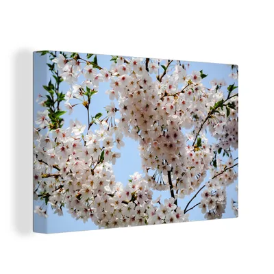 Zdjęcie produktu dla OneMillionCanvasses® - Obraz na płótnie - 150x100 cm, Rośliny - Kwiaty - Gałąź, dekoracja ścienna z nadrukiem