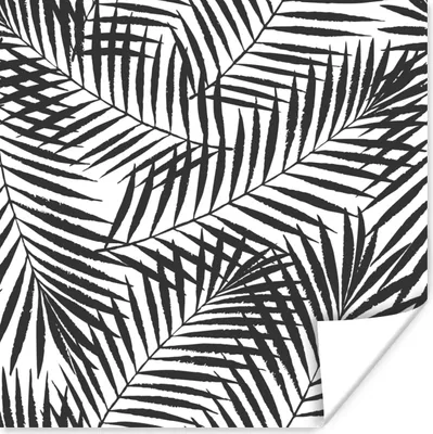 Produktbild von MuchoWow® Poster Palmenblätter - Schwarz - Weiß - Muster - Mädchen - Kinder - Jungen 75x75 cm - Wand Dekoration