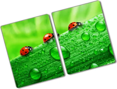 Produktbild von Tulup Glas Herdabdeckplatte - 2x40x52 cm - Glaskeramikkochfeld-Abdeckung Spritzschutz Glasabdeckplatte Kochplattenabdeckung und Schneidebrett - Zweiteilig - Tiere - Marienkäfer Rasen - Grün