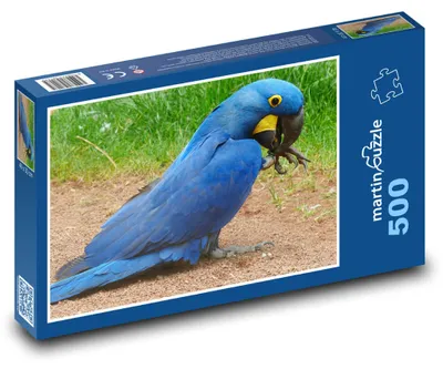 Produktbild von Puzzle 500 Blauer Papagei in der Natur - martinpuzzle