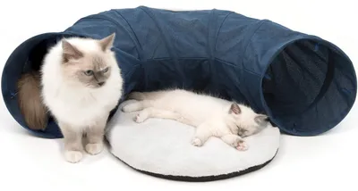 Immagine prodotto di Gioco per gatti, tunnel per gatti Catit 79 x 68 x 28 cm blu