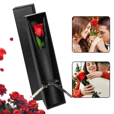 Image de Fleur de rose romantique préservée, symbole de l'amour éternel : le cadeau idéal pour une femme, une maman ou une petite amie ; décoration pour la maison et le bureau