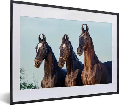 Produktbild von MuchoWow® MuchoWow® Gerahmtes Poster Pferde - Halfter - Braun 40x30 cm - Poster mit zchwarzem Bilderrahmen - Bilderrahmen - Poster im Rahmen