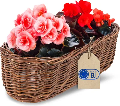 Image de Creative Home Pot de Fleurs en Osier Foncé 35 x 11 x 11 cm - Tissé à la Main