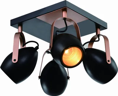 Obrázok produktu pre Candellux ANICA 4xE14 stropné svietidlo 98-83128