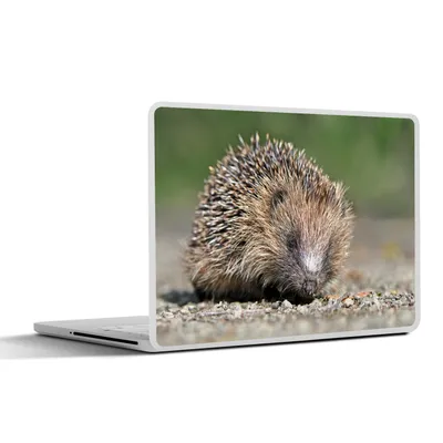Produktbild von MuchoWow® Laptop Aufkleber Sticker Cover Igel auf Schotter 31x22.5 cm - Laptop-Deko