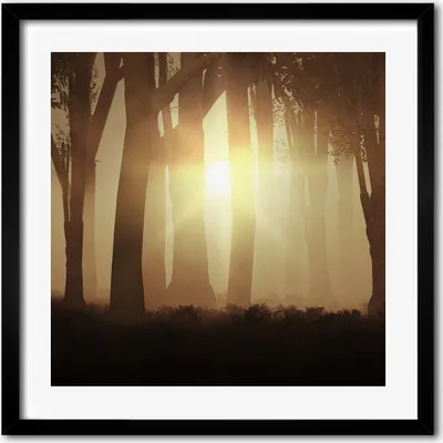 Produktbild von Bild - 50 cm x 50 cm - MDF - Rahmen, Wandkunst - Nebel im Wald