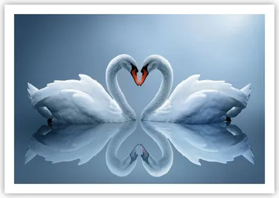 Produktbild von Poster - Poster ohne Rahmen - Ladung Dampf Wasser - 100x70 cm - Wand Bild - Wanddeko - Wandbilder - Kunstposter - Wandposter - Bilder - Kunstdruck - Wanddekoration - Wandbild - P2XAA100x70-3541