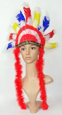 Produktbild von Wilder Western Feder-Kopfschmuck