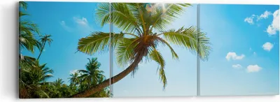 Produktbild von Bild auf Leinwand - Leinwandbild - Strand Palme Meer - 90x30cm - Wand Bild - Wanddeko - Wandbilder - Leinwanddruck - Bilder - Kunstdruck - Wanddekoration - Leinwand bilder - Wandkunst - CA90x30-3570