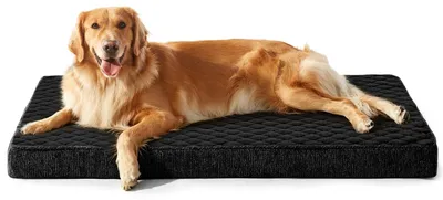 Immagine prodotto di Cuccia ortopedica per cani, taglia XXL, con rivestimento lavabile