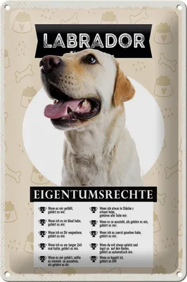 Produktbild von Blechschild Spruch 20x30cm Labrador Eigentumsrechte