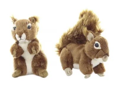 Produktbild von Plüschtier - Eichhörnchen