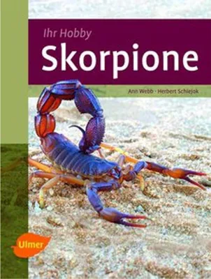 Image de Skorpione