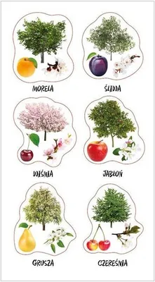 Image de Autocollants de vergers polonais
