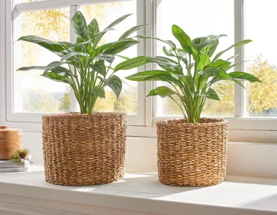 Produktbild von 2x Universalkorb aus Seegras, Übertopf, Aufbewahrungskorb, Ordnungskörbchen, Pflanzkorb, Blumentopf, Pflanzgefäß