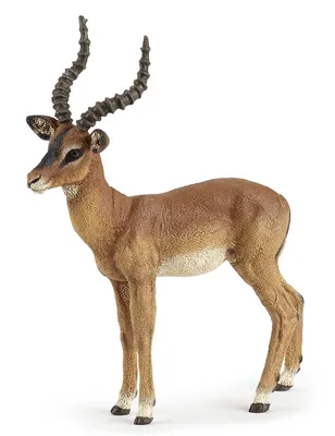 Immagine prodotto di Papo Impala figura giocattolo