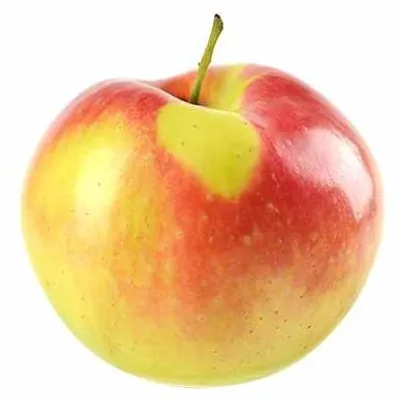Obrázok produktu pre Jesenné jablko 'Gala' Stĺpovité plody 60 cm - Malus 'Gala'