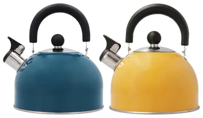 Wasserkocher, Edelstahl, 2 l, blau