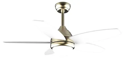 Image de CECOTEC 08544 - EnergySilence Aero 4200 GoldLightWood