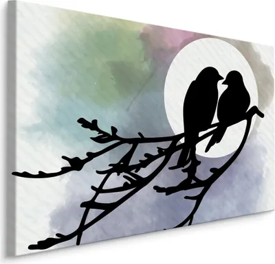Produktbild von Fabelhafte Canvas LEINWAND BILDER 40x30 cm XXL Kunstdruck Vögel Nacht Himmel Mond