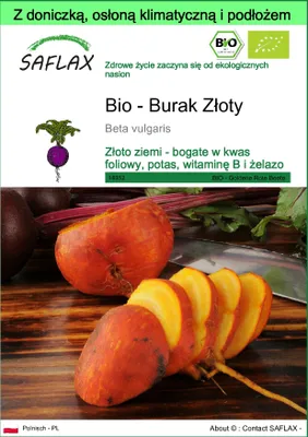Zdjęcie produktu dla SAFLAX - Garden to go - Bio - Burak Złoty - 50 Nasiona - Z doniczką, pokrywą klimatyczną i podłożem do uprawy - Beta vulgaris
