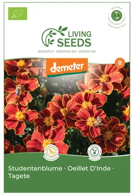 Produktbild von Nelke 4.1g Saatgut von Living Seeds