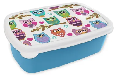 Produktbild von KitchenYeah® Lunchbox Brotzeit Brotdose 17x11 cm Design - Eulen - Tiere Kinder Brotzeitdose - Lunch - Kunststoff  - Brotbüchse - Sandwichbox - Lunchbox für Kinder