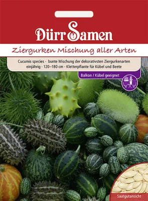Produktbild von Dürr-Samen - Ziergurken Bunte Mischung aller Arten einjährig 120-180 cm - Saatgut - 4289