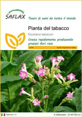 Immagine prodotto di SAFLAX  - Pianta del tabacco - 250 semi - Nicotiana