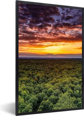 Produktbild von MuchoWow® Gerahmtes Poster Wald - Nacht - Himmel - Horizont - Bäume 60x90 cm - Poster mit Schwarzem Bilderrahmen Wandposter Rahmen Foto Bilder - Kunst