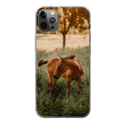 Produktbild von MuchoWow® Handyhülle Schutzhülle Hülle für iPhone 12 Pro Max Pferd - Gras - Baum Silikon Softcase Handy Hülle - Hartschale