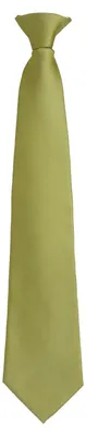 Immagine prodotto di Premier - "Colours Orginals Fashion" Cravatta con fermaglio LT2703 (taglia unica) (verde erba)