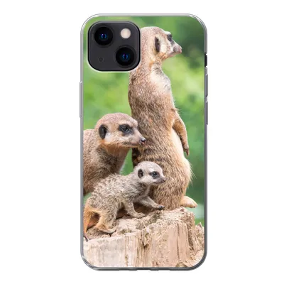Produktbild von MuchoWow® Handyhülle Schutzhülle Hülle für iPhone 13 mini Erdmännchen - Baumstumpf - Jungtier Silikon Softcase Handy Hülle - Softcase