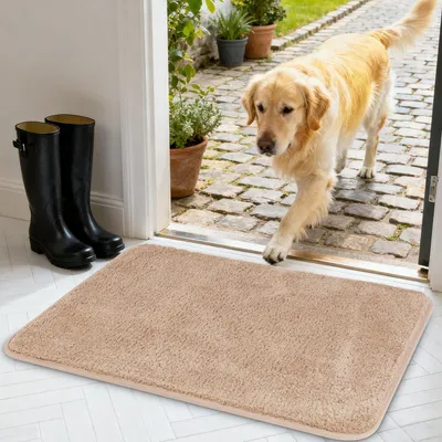 Immagine prodotto di Tappetino da interno ed esterno, dimensioni 50x80 cm, antiscivolo, color beige