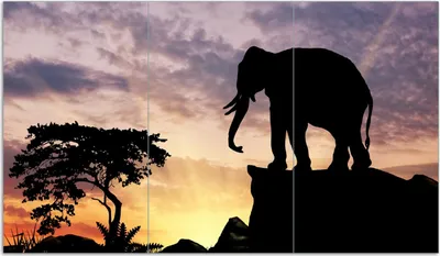 Produktbild von Wallario Herdabdeckplatte aus Glas, Größe 90 x 52 cm 3-teilig, Motiv Elefant vor Abendhimmel