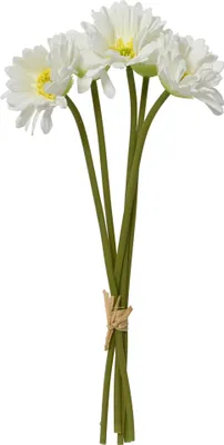 Produktbild von Künstlicher Blumenstrauß Gerbera 35x16cm Kunststoff Weiß