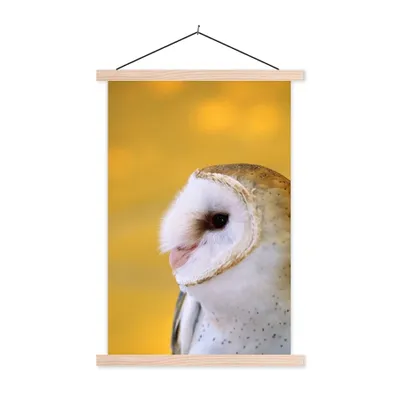 Produktbild von MuchoWow® Textilposter Eule - Gelb - Tier 60x90 cm mit holzfarbenen Rahmen - Textil