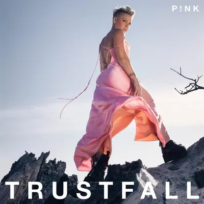 Zdjęcie produktu dla Pink - Trustfall (CD)