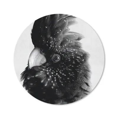 Produktbild von MuchoWow® Mauspad Mousepad Nahaufnahme eines Kakadus vor einem grauen Hintergrund - schwarz und weiß 30x30 cm - Mousepads - Maus Mat - Pad - Mausunterlage - Tischunterlage - Schreibtischmatten