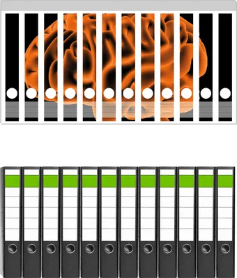 Produktbild von Wallario 12 Stück schmale Ordner inkl. Klebeetiketten mit Motive Menschliches Gehirn in leuchtend orangener Farbe -  Set mit Rückenschildern / Ordnerrücken Stickern