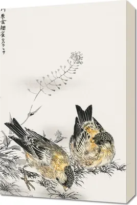 Image de Image 40 x 60 cm Greenfinch, Kashu japonais vintage pour le salon