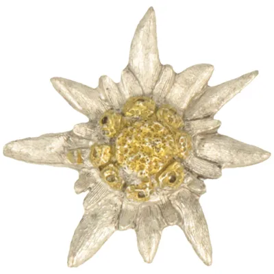 Edelweiß-Pin (Handarbeit-Made in Germany!) von Hut-Breiter  in grau