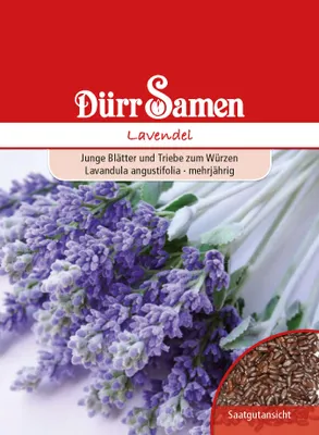 Produktbild von Dürr-Samen - Lavendel - Saatgut - 0181