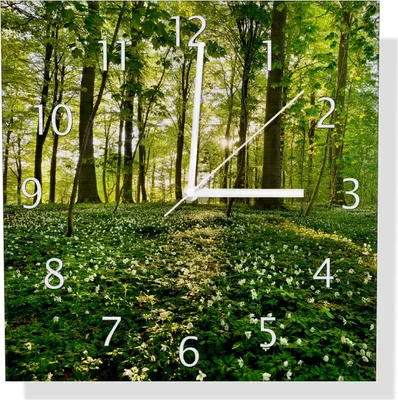 Produktbild von Wallario Design Wanduhr Waldanemonen und Sonnenstrahlen im Wald aus Aluverbund, Größe 30 x 30 cm