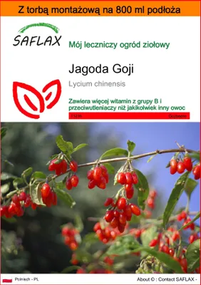 Zdjęcie produktu dla SAFLAX - Garden in the bag - Jagoda Goji - 200 Nasiona - Z podłożem uprawowym w praktycznej, samorozkładającej się torbie - Lycium chinensis