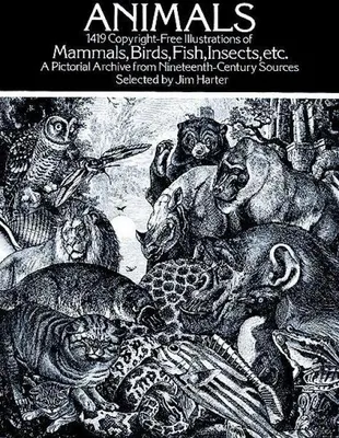 Produktbild von Animals