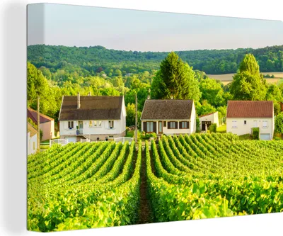 Produktbild von OneMillionCanvasses® - Leinwandbilder - 150x100 cm, Wijnveld, Wandbilder Kunstdruck Wanddekoration