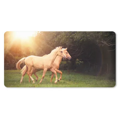 Produktbild von MuchoWow® Schreibtischunterlage Pferde - Wald - Sonne 80x40 cm - XXL Mauspad - Gaming Mauspad